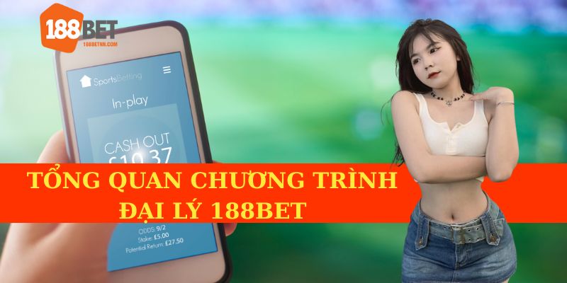Tổng quan chương trình đại lý 188BET